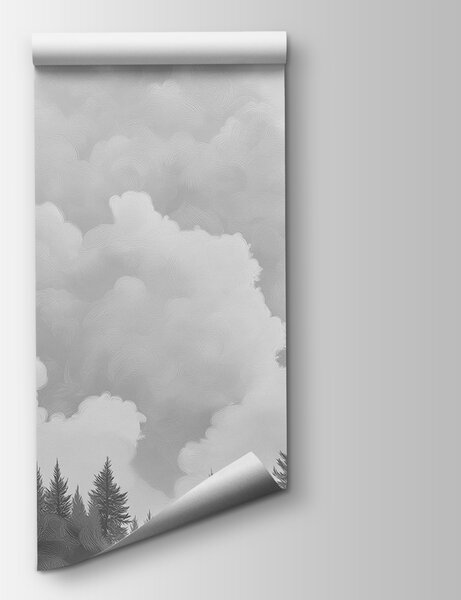 Fototapeta Černobílá fotografie lesa, Přírodní fototapety, Populární fototapety, w02411v3 - Tapeko.co.cz