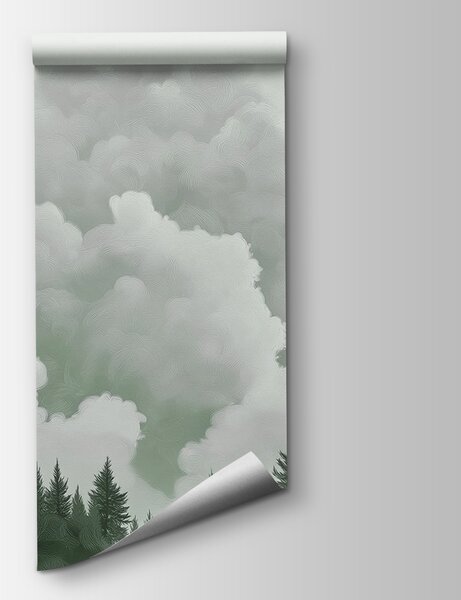 Fototapeta Skupina stromů a mraků, Přírodní fototapety, Populární fototapety, w02411v2 - Tapeko.co.cz