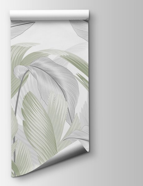 Fototapeta Elegantní zelené listy na bílém pozadí, Fototapety s palmovými listy, Populární fototapety, w02508v3 - Tapeko.co.cz