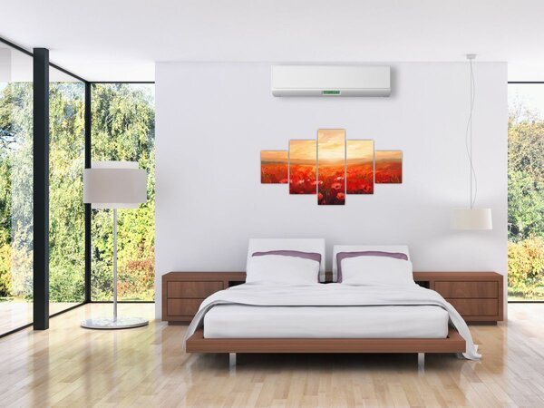 Obraz - Pole vlčích máků (125x70 cm)