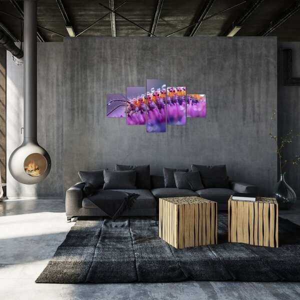 Obraz - Housenka (125x70 cm)