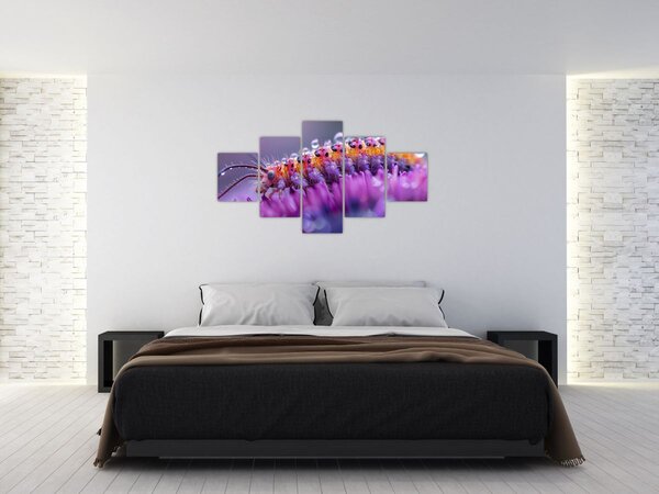 Obraz - Housenka (125x70 cm)