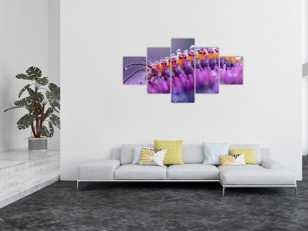 Obraz - Housenka (125x70 cm)