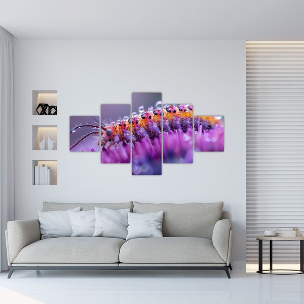Obraz - Housenka (125x70 cm)