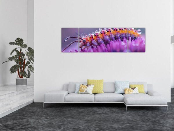 Obraz - Housenka (170x50 cm)