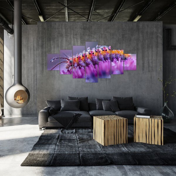 Obraz - Housenka (210x100 cm)