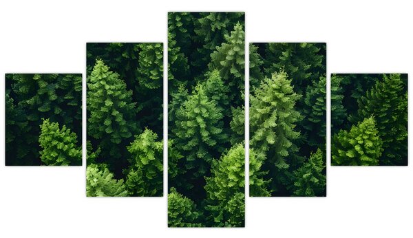 Obraz - Les (125x70 cm)