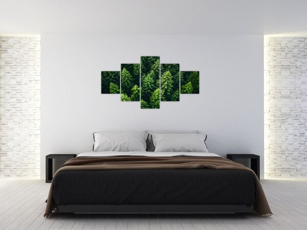 Obraz - Les (125x70 cm)