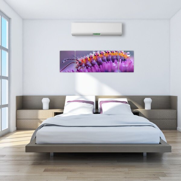 Obraz - Housenka (170x50 cm)