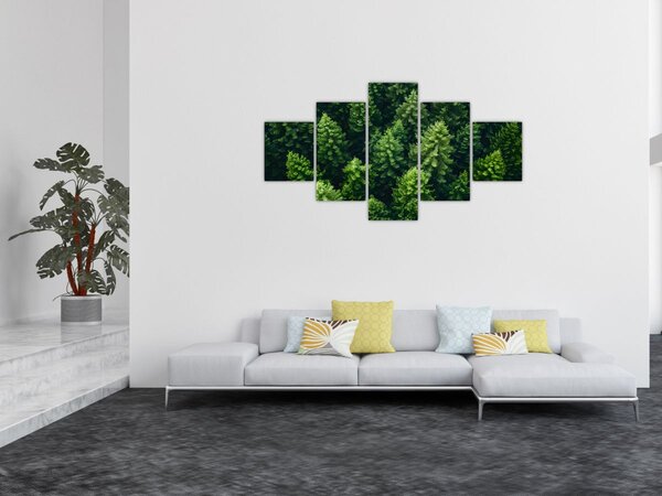 Obraz - Les (125x70 cm)