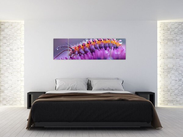 Obraz - Housenka (170x50 cm)