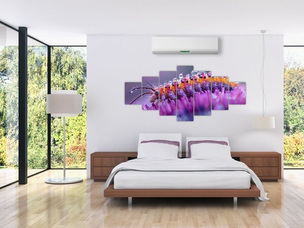 Obraz - Housenka (210x100 cm)