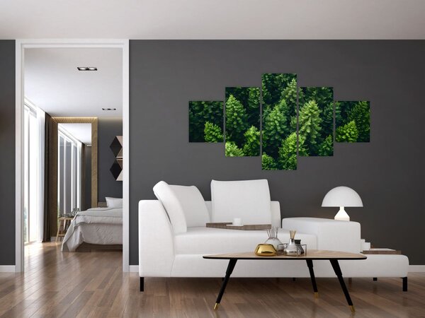 Obraz - Les (125x70 cm)
