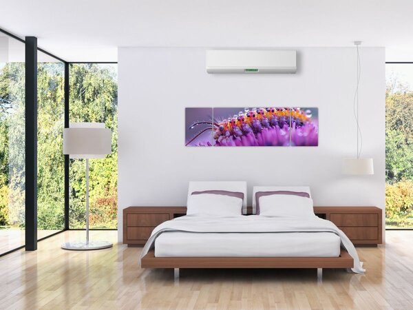 Obraz - Housenka (170x50 cm)