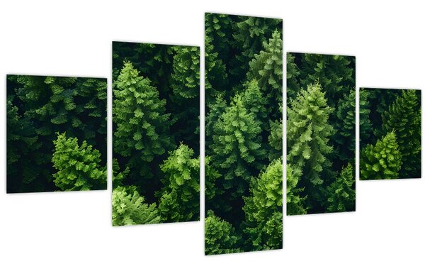 Obraz - Les (125x70 cm)