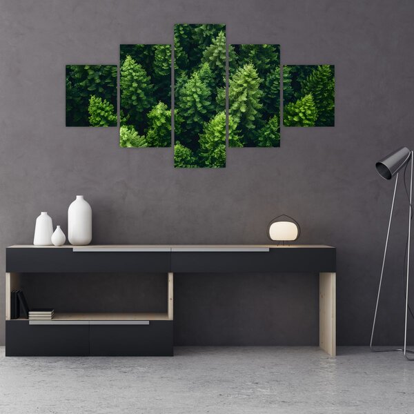 Obraz - Les (125x70 cm)