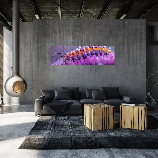 Obraz - Housenka (170x50 cm)