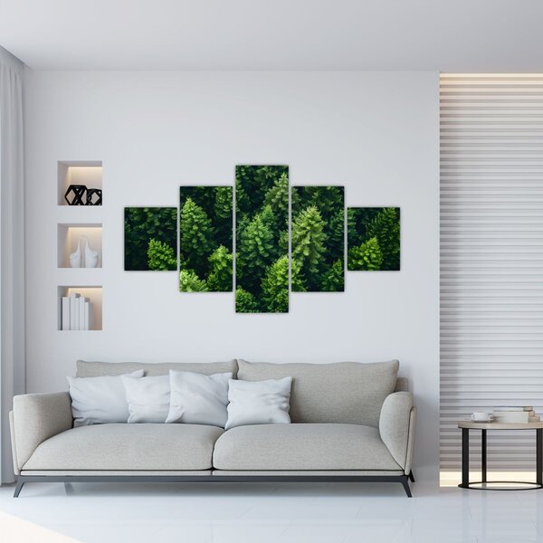 Obraz - Les (125x70 cm)
