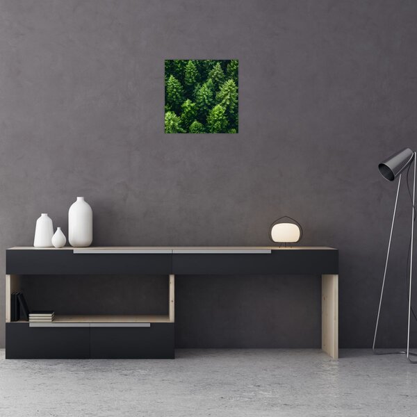 Obraz - Les (30x30 cm)