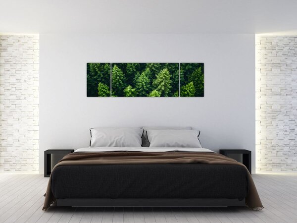 Obraz - Les (170x50 cm)