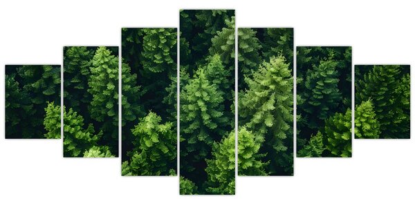 Obraz - Les (210x100 cm)