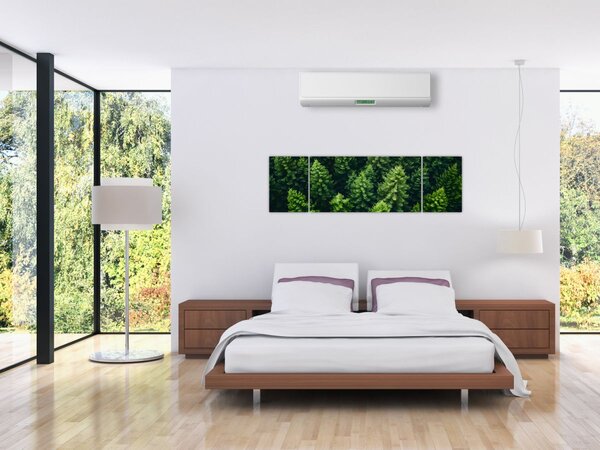 Obraz - Les (170x50 cm)