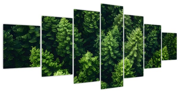 Obraz - Les (210x100 cm)
