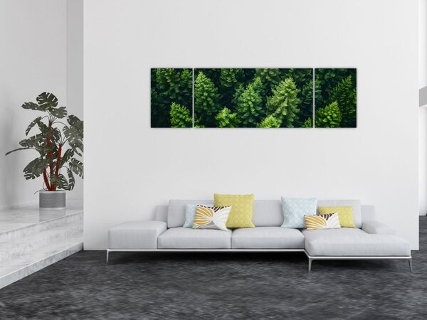 Obraz - Les (170x50 cm)
