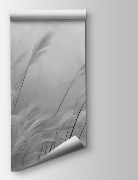 Fototapeta Měkké trávy se pohupují v jemném vánku, Fototapety se stromy, Populární fototapety, w02599v1 - Tapeko.co.cz