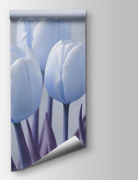 Fototapeta Skupina bílých tulipánů, Květinové fototapety, Populární fototapety, w02616v1 - Tapeko.co.cz