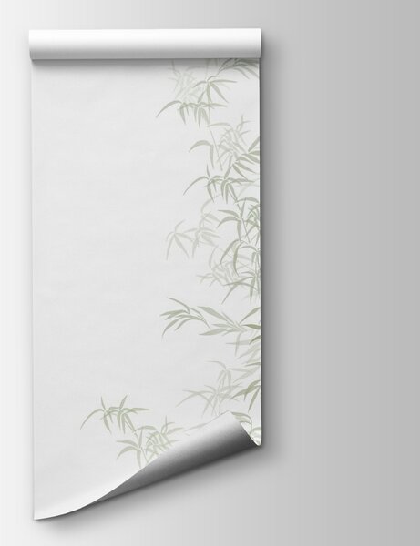 Fototapeta Rostlina s listy, Přírodní fototapety, Populární fototapety, w08555v2 - Tapeko.co.cz