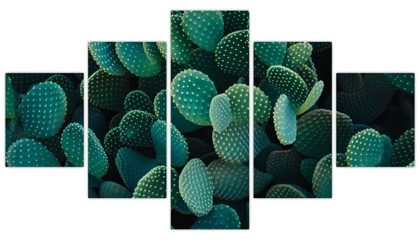 Obraz - Opuncie (125x70 cm)