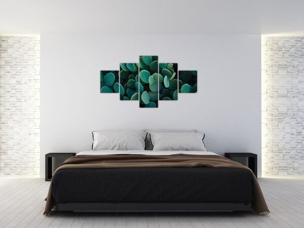 Obraz - Opuncie (125x70 cm)