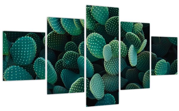Obraz - Opuncie (125x70 cm)