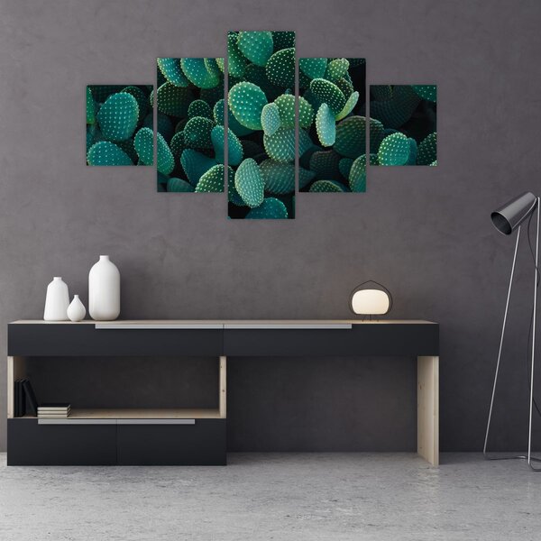 Obraz - Opuncie (125x70 cm)