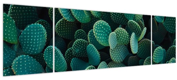 Obraz - Opuncie (170x50 cm)