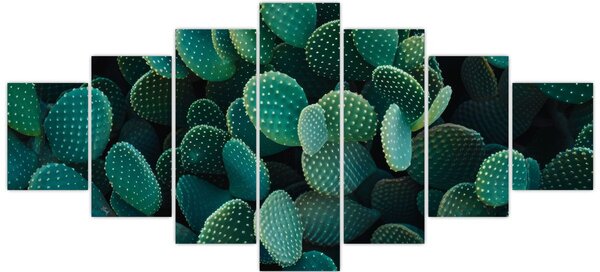 Obraz - Opuncie (210x100 cm)