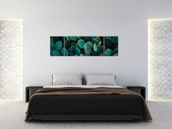 Obraz - Opuncie (170x50 cm)
