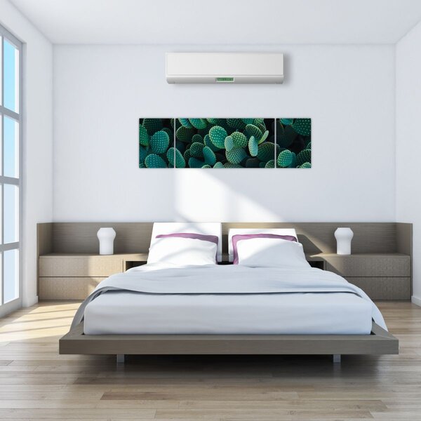 Obraz - Opuncie (170x50 cm)