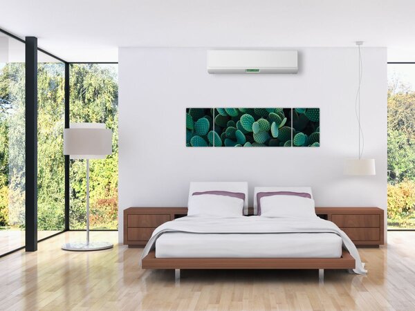 Obraz - Opuncie (170x50 cm)