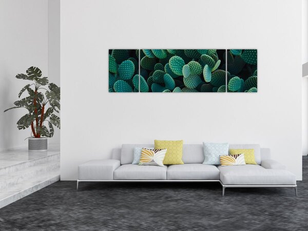 Obraz - Opuncie (170x50 cm)