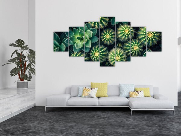 Obraz - Kaktusy (210x100 cm)