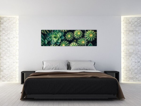 Obraz - Kaktusy (170x50 cm)