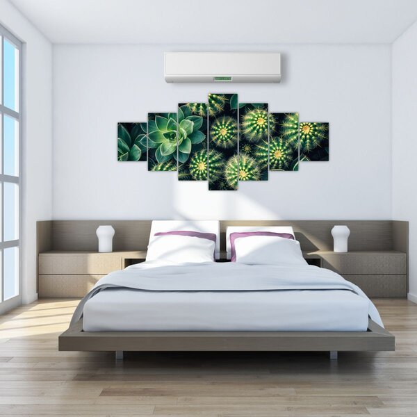 Obraz - Kaktusy (210x100 cm)