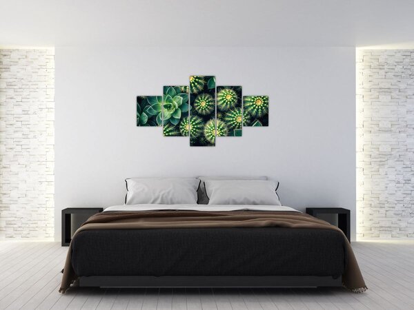 Obraz - Kaktusy (125x70 cm)