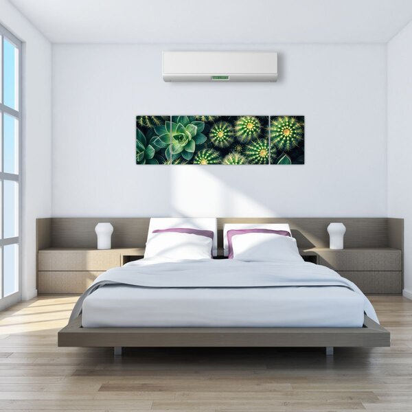 Obraz - Kaktusy (170x50 cm)