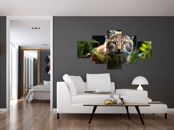 Obraz - Rys (125x70 cm)