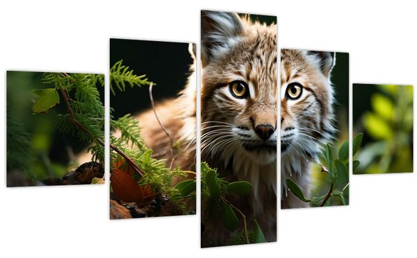 Obraz - Rys (125x70 cm)