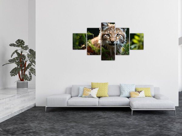 Obraz - Rys (125x70 cm)