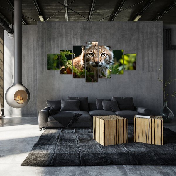 Obraz - Rys (210x100 cm)